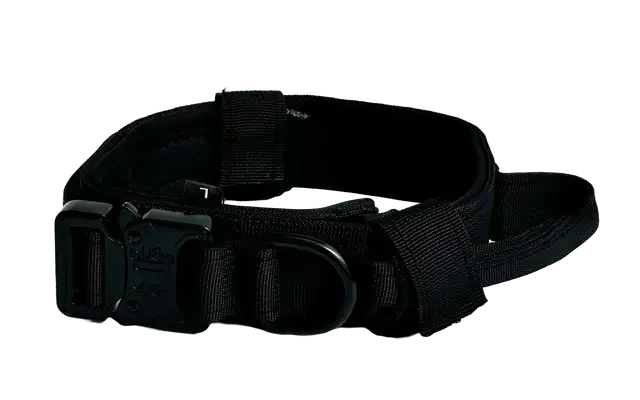 Activepaw collar