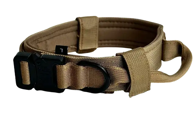 Activepaw collar